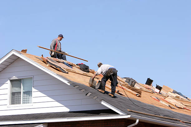 Best Chimney Flashing Repair  in Shenandoah, IA